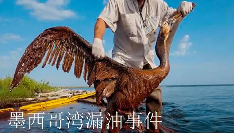 被海上溢油“染黑”的海岸线J9九游会老哥论坛环保热解技术助力守护海洋生命线